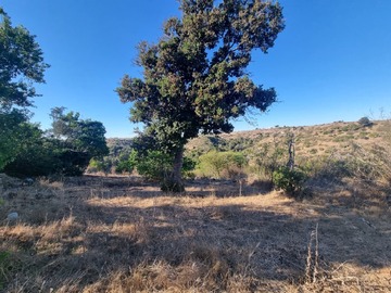 Venta / Terreno Agricola / Santo Domingo