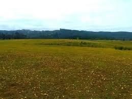 Venta / Terreno Agricola / Santo Domingo