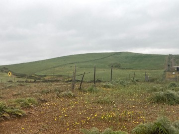 Venta / Terreno Agricola / Santo Domingo