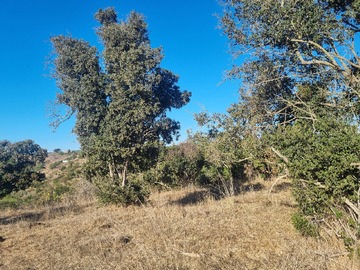 Venta / Terreno Agricola / Santo Domingo