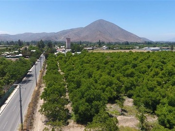 Venta / Terreno Agricola / Talagante