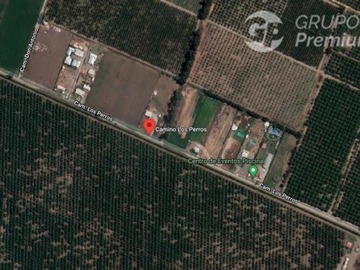Venta / Terreno Agricola / Talagante