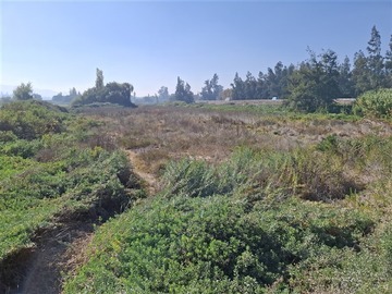 Imagen 7