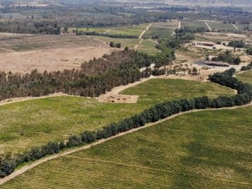 Venta / Terreno Agricola / Talca