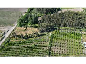 Venta / Terreno Agricola / Talca