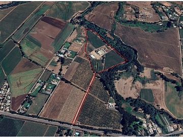 Venta / Terreno Agricola / Talca