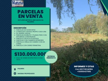 Venta / Terreno Agricola / Talca