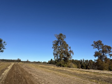 Venta / Terreno Agricola / Temuco