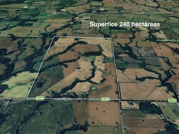 Venta / Terreno Agricola / Temuco
