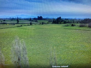 Venta / Terreno Agricola / Teno