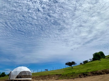 Imagen 20