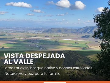 Venta / Terreno Agricola / Teno