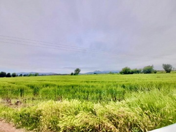 Venta / Terreno Agricola / Teno