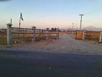 Venta / Terreno Agricola / Teno