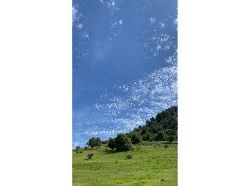 Imagen 30