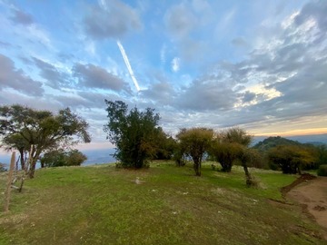Imagen 18
