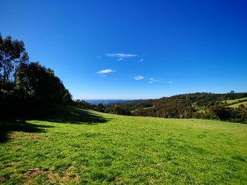 Venta / Terreno Agricola / Teodoro Schmidt