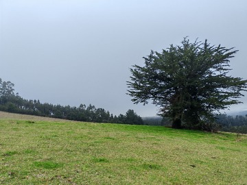 Venta / Terreno Agricola / Teodoro Schmidt
