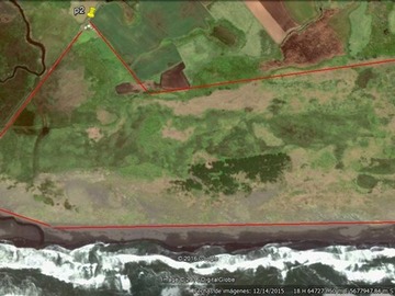 Imagen 4