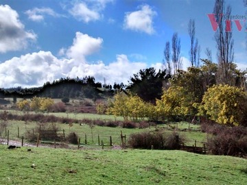 Venta / Terreno Agricola / Traiguén