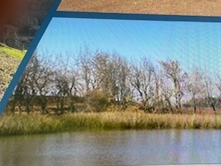 Imagen 18