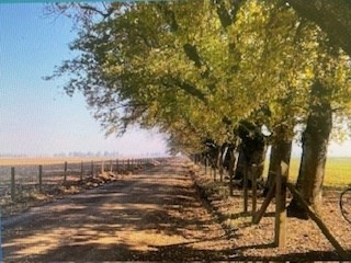 Imagen 11