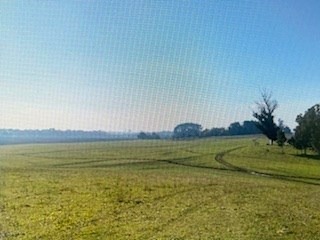 Venta / Terreno Agricola / Traiguén