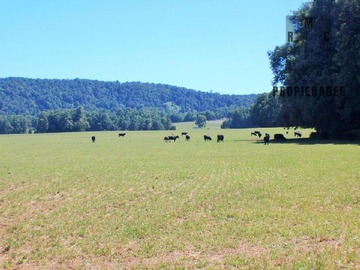 Venta / Terreno Agricola / Valdivia