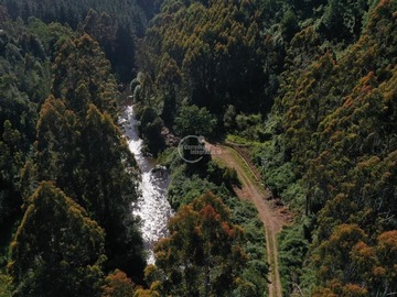 Venta / Terreno Agricola / Valdivia