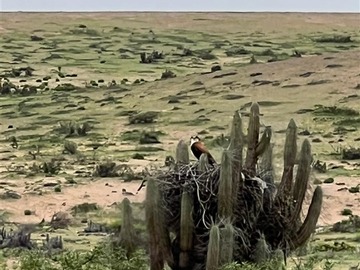 Imagen 8