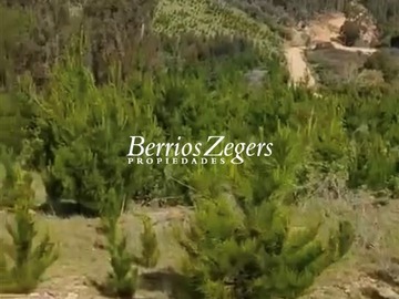 Imagen 5