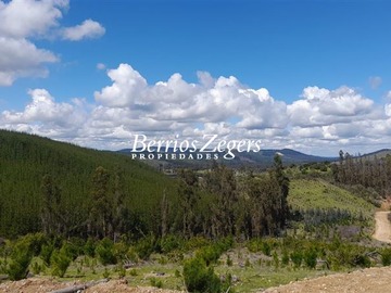 Venta / Terreno Agricola / Vichuquén