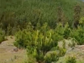 Imagen 6