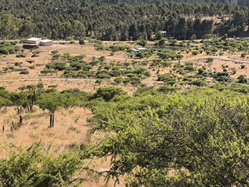 Venta / Terreno Agricola / Vichuquén