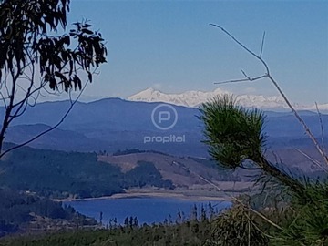 Venta / Terreno Agricola / Vichuquén