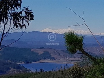 Venta / Terreno Agricola / Vichuquén