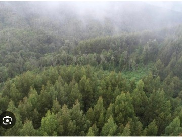 Venta / Terreno Agricola / Victoria