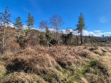 Venta / Terreno Agricola / Victoria