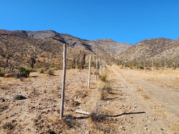 Venta / Terreno Agricola / Vicuña