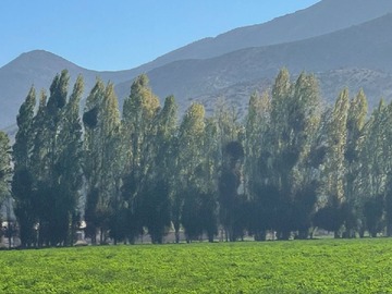 Venta / Terreno Agricola / Vicuña