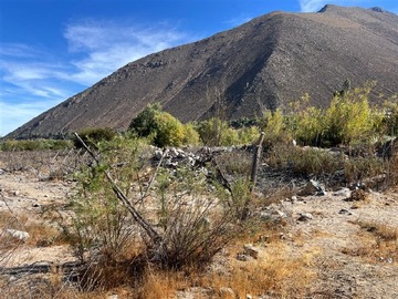 Imagen 18