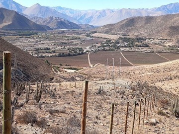 Venta / Terreno Agricola / Vicuña
