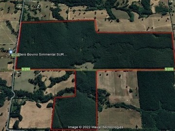 Venta / Terreno Agricola / Vilcún