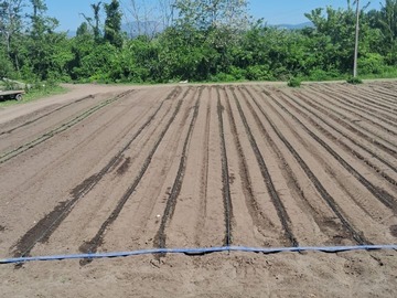 Venta / Terreno Agricola / Villa Alegre