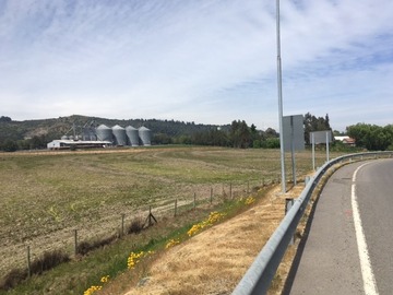 Venta / Terreno Agricola / Villa Alegre