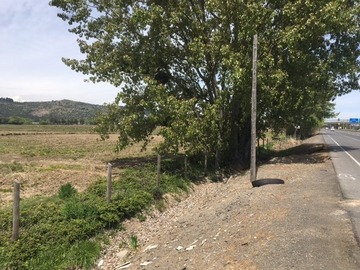 Imagen 9