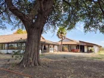 Venta / Terreno Agricola / Villa Alegre