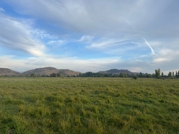 Venta / Terreno Agricola / Villa Alegre