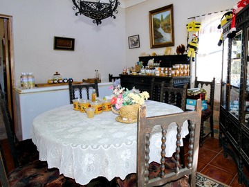 Imagen 8