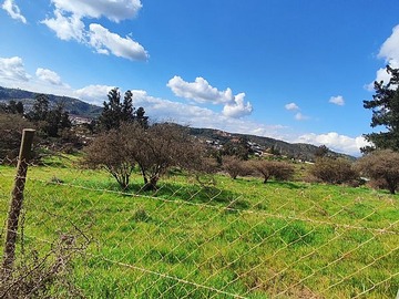 Venta / Terreno Agricola / Villa Alemana